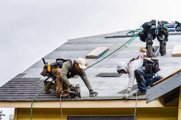 Professional Emergency Roof Repair technician working in Satsuma, AL